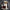Relaxed Crewneck Sweater for Cozy Casual Wear – Daniel