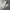 Soft Merino Wool Lounge Pants for Cozy Comfort – Arden