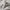 Soft Merino Wool Lounge Pants for Cozy Comfort – Arden