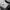 Soft Merino Wool Hoodie – Cozy & Breathable Everyday Essential – Luca