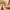 Luxuriously Soft Cashmere Polo Sweater for Men – Daniel