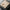 Soft Cashmere Hoodie – Luxurious & Warm Everyday Essential