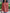 Cozy Knit Tunic Sweater with Pockets & Thumbholes – Emma