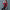 Women's Cozy Winter Clothing Set for Chilly Days – Emma