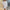 Dazzling Sequined Evening Dress for Glamorous Events – Sophia