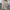 Trendy Knit Pullover with Long Sleeves for Fall – Olivia