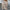 Trendy Knit Pullover with Long Sleeves for Fall – Olivia