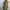 Chic Loose Knit Hollow Out Sweater for Women – Emily