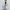 Elegant Buttonless Lapel Coat for a Timeless Look – Emily