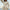 Elegant Button-Up Knit Sweater, Soft & Timeless Style – Emma