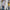 Trendy Hooded Cardigan for Women with Spacious Pockets – Grace