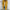 Trendy Hooded Cardigan for Women with Spacious Pockets – Grace