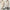 Minimalist Solid Color Two-Piece Outfit for Trendy Looks – Ava