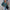Long Sleeve Button-Down Shirt, Perfect for Layering – Olivia