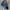 Long Sleeve Button-Down Shirt, Perfect for Layering – Olivia