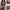 Classic Women's Trench Coat with Matching Scarf – Grace