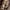 Classic Women's Trench Coat with Matching Scarf – Grace