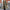 Classic Women's Trench Coat with Matching Scarf – Grace