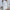 Women’s Textured Jacquard Top for Chic Everyday Looks – Olivia