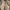 Effortless Casual V-Neck 3/4 Sleeve Dress for Women - Livia