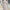 Mid-Length Hooded Jacket Coat for Women, Functional & Warm – Emily