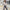 Mid-Length Hooded Jacket Coat for Women, Functional & Warm – Emily
