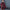 Lightweight Hooded Winter Jacket for Stylish Warmth – Emily