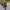 Plush Hooded Sherpa Jacket for Ultimate Warmth – Emily