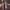 Luxurious Hooded Wool Coat with Soft Velvet Lining – Emily