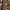 Luxurious Hooded Wool Coat with Soft Velvet Lining – Emily