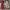 Sophisticated Deep V-Neck Maxi Dress with Flowy Silhouette – Sophia