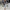 Elegant Women's Business Suit Set for Professional Occasions – Emily