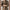 Timeless PU Leather Jacket for a Stylish Edge – Emma