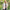Women's Quilted Jacket with Cozy Knit Sleeves – Chloe