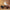 Cozy Side-Zip Insulated Snow Boots for Women – Emma