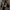 Warm and Stylish Winter Hooded Jacket for Everyday Wear – Sophia