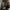 Warm and Stylish Winter Hooded Jacket for Everyday Wear – Sophia
