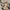 Warm and Stylish Winter Hooded Jacket for Everyday Wear – Sophia