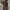 Elegant Waist-Tied Long Coat for Cozy Warmth – Emma