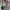 Glamorous Sequin Pants Set, Elegant & Eye-Catching – Emily