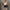 Glamorous Sequin Pants Set, Elegant & Eye-Catching – Emily