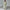 Elegant Women’s Blazer Pants Suit Set for Formal Wear – Emily
