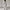 Elegant Women’s Blazer Pants Suit Set for Formal Wear – Emily