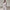 Elegant Women’s Blazer Pants Suit Set for Formal Wear – Emily