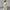 Elegant Women’s Blazer Pants Suit Set for Formal Wear – Emily