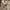 Sporty Two-Piece Tracksuit with Trendy Zipper Accents – Sophia