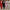 Sporty Two-Piece Tracksuit with Trendy Zipper Accents – Sophia