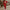 Sporty Two-Piece Tracksuit with Trendy Zipper Accents – Sophia