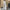 Flattering High-Waisted Wide-Leg Pants for Women – Sophia