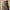 Flattering High-Waisted Wide-Leg Pants for Women – Sophia